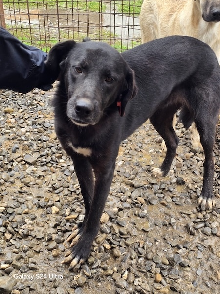 TAMIA (♀) – Bild 7