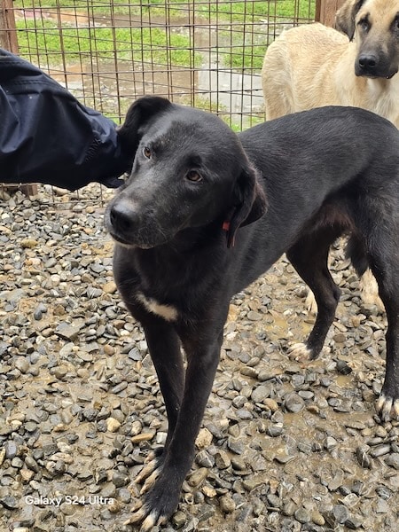 TAMIA (♀) – Bild 6