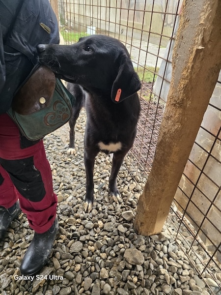 TAMIA (♀) – Bild 4