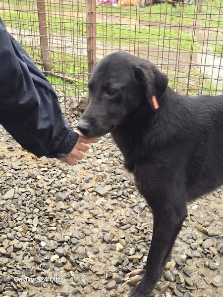 TAMIA (♀) – Bild 3