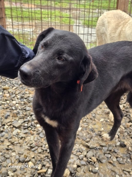 TAMIA (♀) – Bild 2