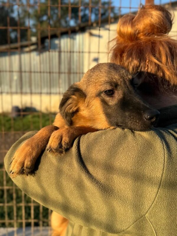 FIDELLA (♀) – Bild 4