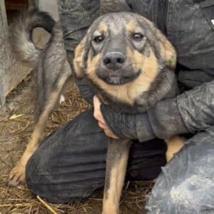 XENIA (♀) - wird unsicher, sollte zeitnah reisen