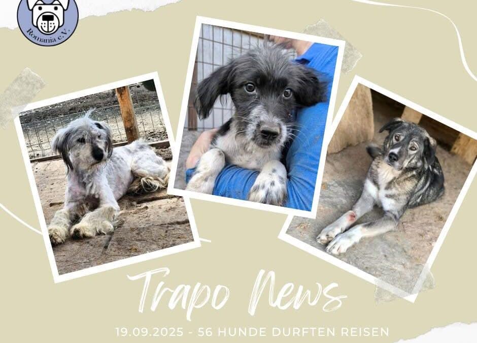 🚐🐾 Ankunft unserer Schützlinge / Transport 19.09.2025 🐾🚐