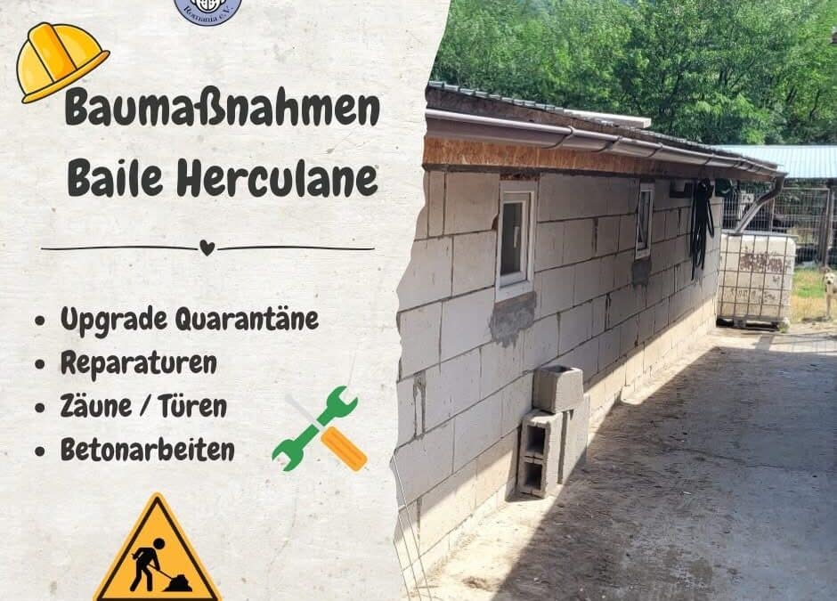 🐾 Spendenaufruf für unser Shelter in Baile Herculane 🐾