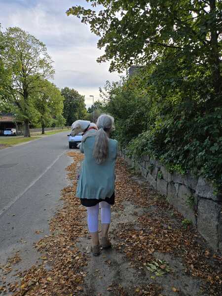 ALUNIA (♀) in 21493 Möhnsen - vermittelt – Bild 23