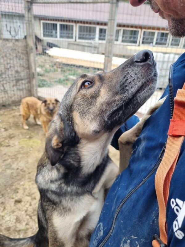 KAYLEY (♀) – Bild 4