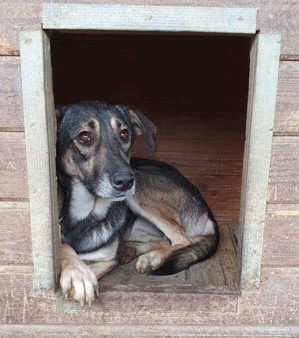 KAYLEY (♀) – Bild 6
