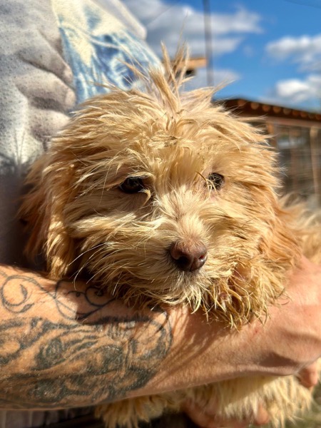 H1SKGY (♀) – Bild 2