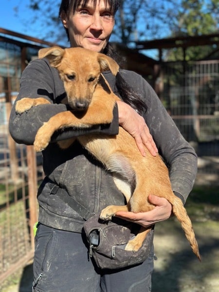 H3CCM4 (♀) – Bild 2