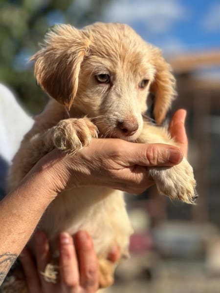 H3SKGY (♀) – Bild 4