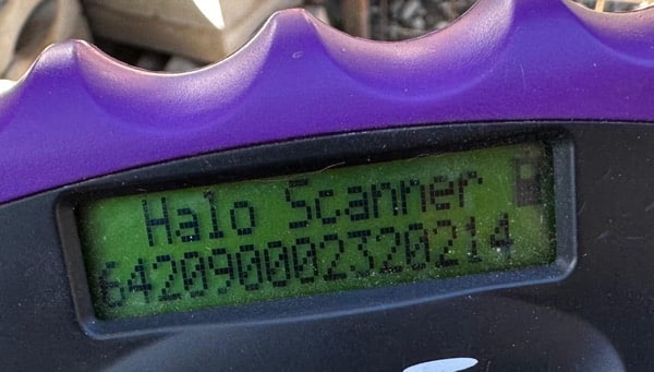 H3CCM4 (♀) – Bild 5