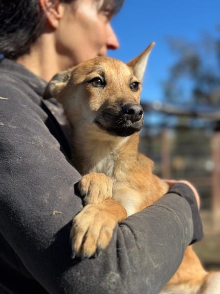 H4CCM4 (♀) – Bild 5