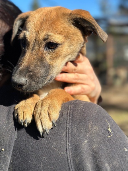 H7CCM4 (♀) – Bild 5