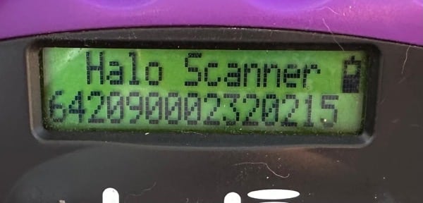 H9CCM4 (♀) – Bild 6