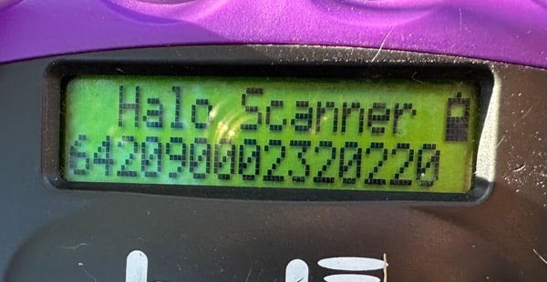 H7CCM4 (♀) – Bild 12