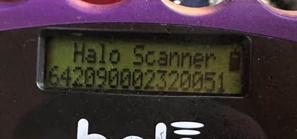 SANTIANO (♂) – Bild 11