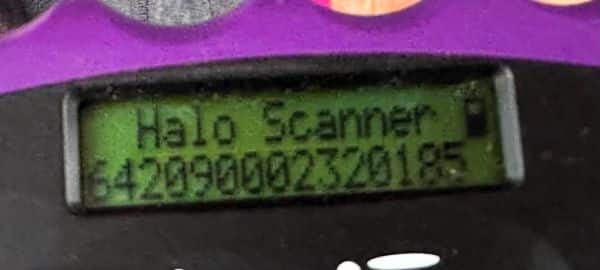 EDA (♀) – Bild 4