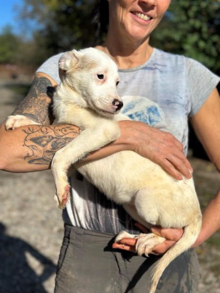 H1JPLK451 (♀) – Bild 2