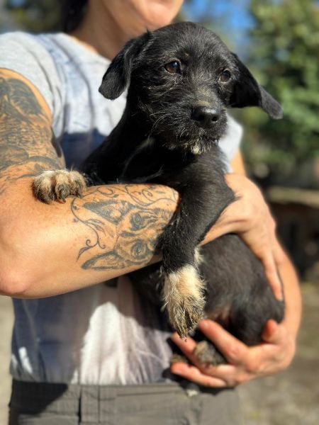 H3JPLK449 (♀) – Bild 2