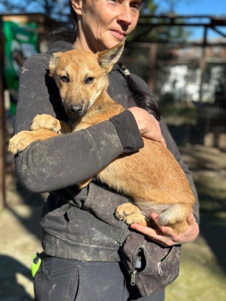 H4CCM4 (♀) – Bild 6