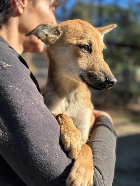 H4CCM4 (♀) – Bild 3