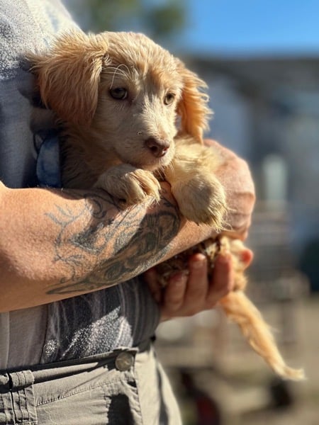 H3SKGY (♀) – Bild 6