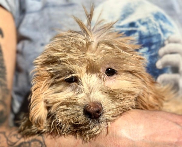 H1SKGY (♀) – Bild 5