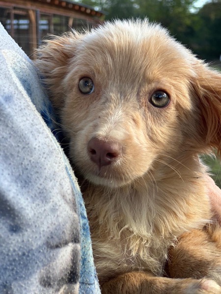 R3SKGY (♂) – Bild 4