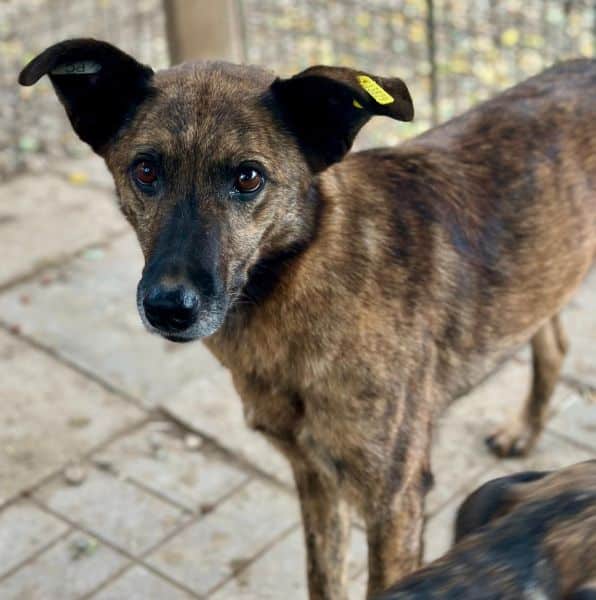 EDA (♀) – Bild 2