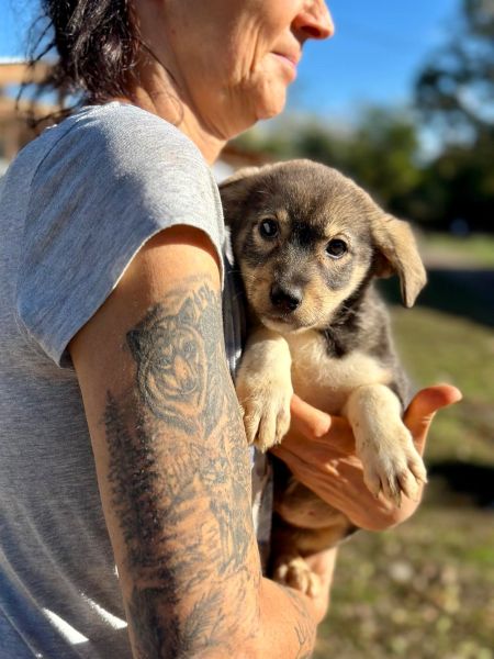 H2JPLK451 (♀) – Bild 3