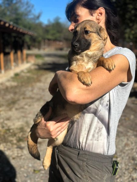 H4JPLK449 (♀) – Bild 3