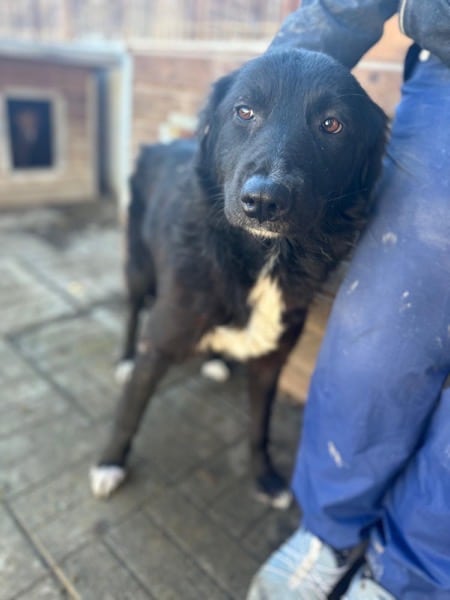 MORLA (♀) – Bild 4