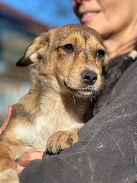 H9CCM4 (♀) – Bild 4