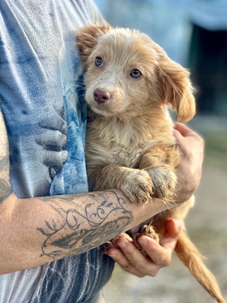 R3SKGY (♂) – Bild 2