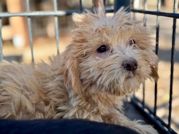 H1SKGY (♀) – Bild 6