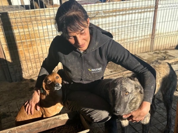 PHÖNIX (♂) – Bild 6