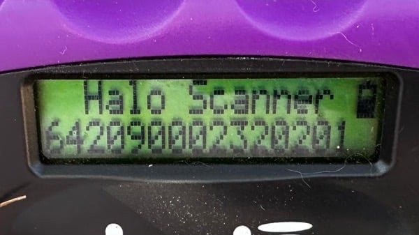 PEA (♀) – Bild 5