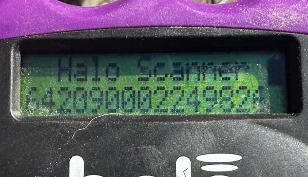 POMBÄR (♂) – Bild 7