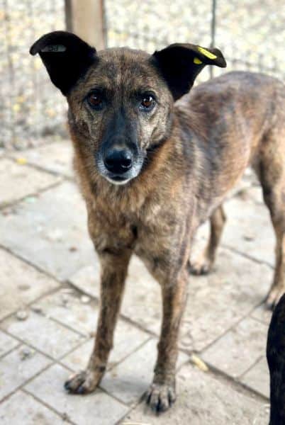 EDA (♀) – Bild 3