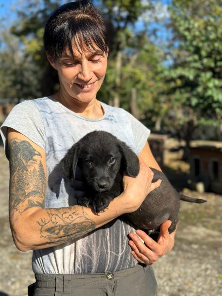 R1JPLK451 (♂) – Bild 4