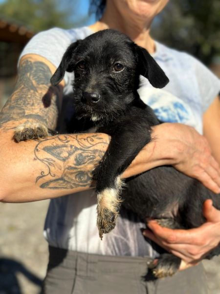 H3JPLK449 (♀) – Bild 4