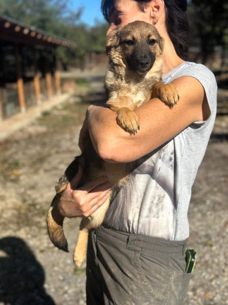 H4JPLK449 (♀) – Bild 4