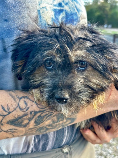 R1SKGY (♂) – Bild 3