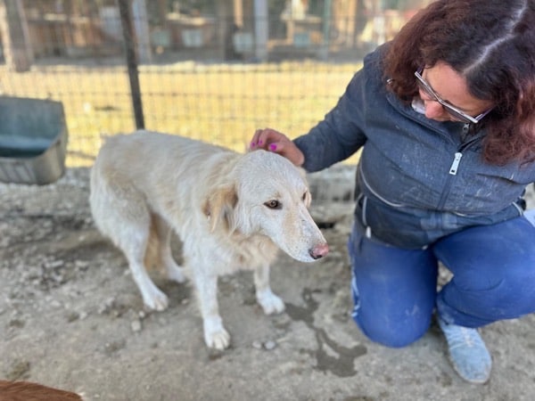 HEIDI (♀) – Bild 2