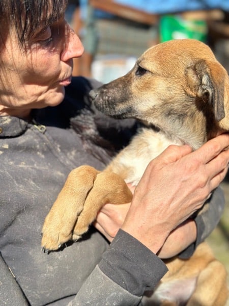 H7CCM4 (♀) – Bild 2