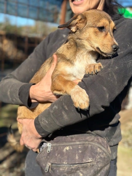 H9CCM4 (♀) – Bild 5