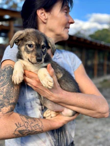 H2JPLK451 (♀) – Bild 5