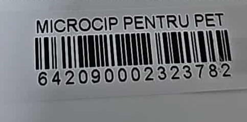 TAFITI (♂) – Bild 7