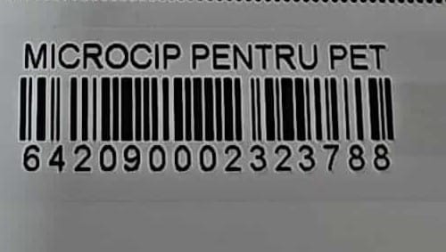 JASMIN (♀) – Bild 8